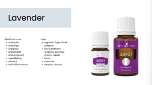 Lavender