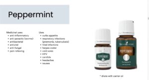 Peppermint